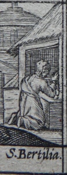 Bertilia van Marolles (3)