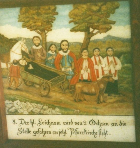 'Der hl. Leichnam wird' von 2 Ochsen an die Stelle gefahren wo jetzt Pfarrkirche steht' (Het heilige lijk wordt door twee ossen naar de plek vervoerd waar thans de parochiekerk staat)