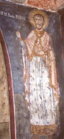 Tryfon van Lampsacus (1)