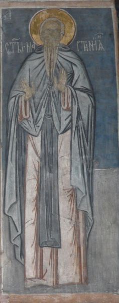 Martinianus van Cesarea, Zoë (1)