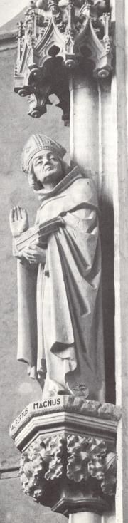 Albertus de Grote (3)
