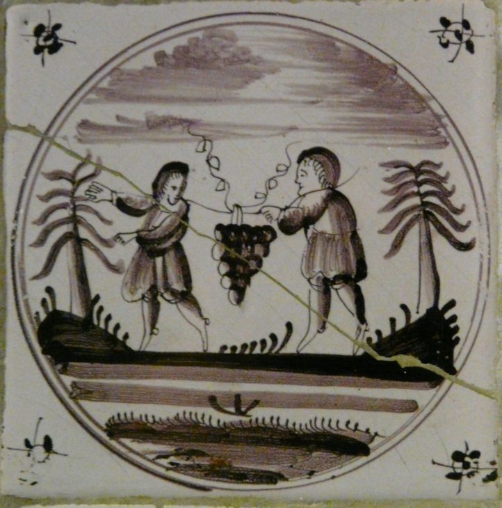 Druiventros