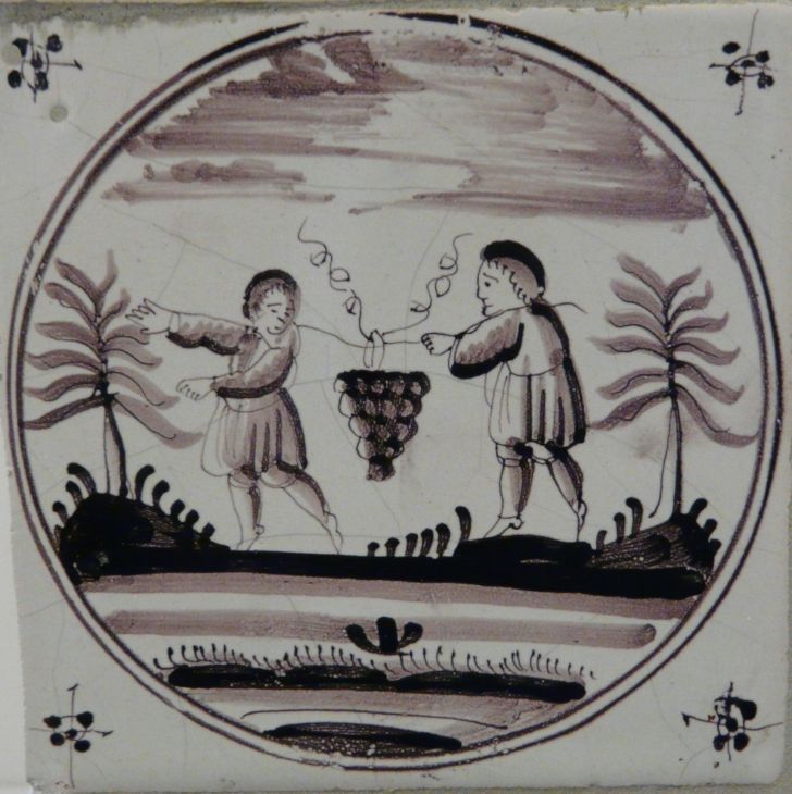 Druiventros